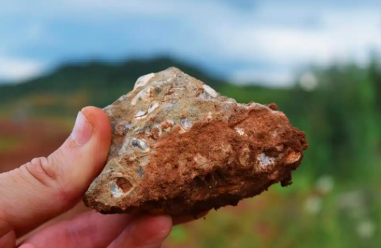 鑫旺资管 稀土为什么和芯片有一拼？