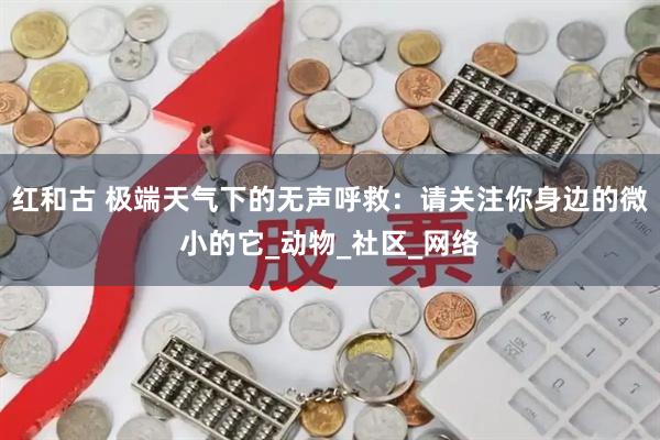 红和古 极端天气下的无声呼救：请关注你身边的微小的它_动物_社区_网络