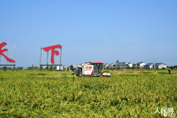 丰汇投资 行进中国 | “慧”种粮田 交出高产金色“答卷”